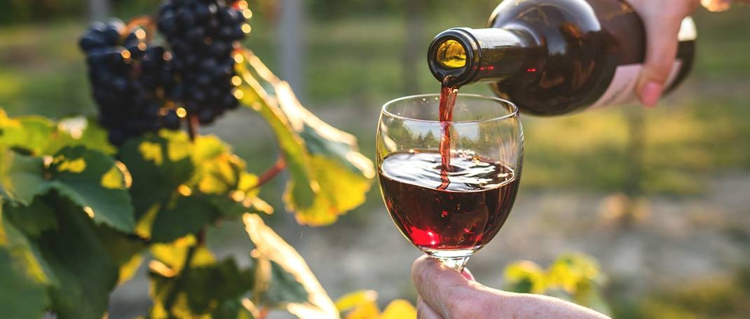 La Table D'Agamy - Restaurant Sain-Bel - meilleur resto SAIN-BEL